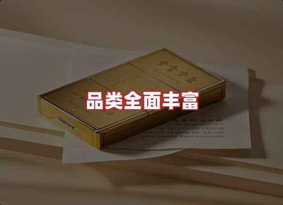 专业团队